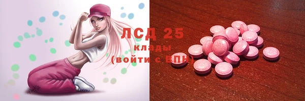 ГАЛЛЮЦИНОГЕННЫЕ ГРИБЫ Бородино