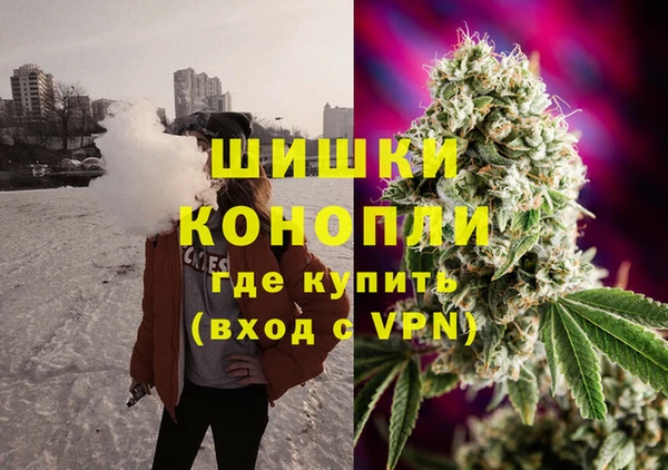 тгк Ростов